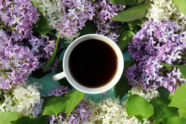 Durgun bir hayat, bir buket leylak ve sabahın köründe bir fincan çay.