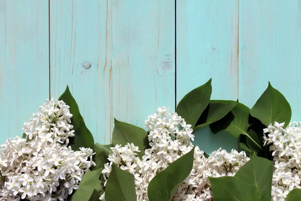 Flores Blancas Lila Encuentra Sobre Fondo Madera Turquesa Con Lugar — Foto de Stock