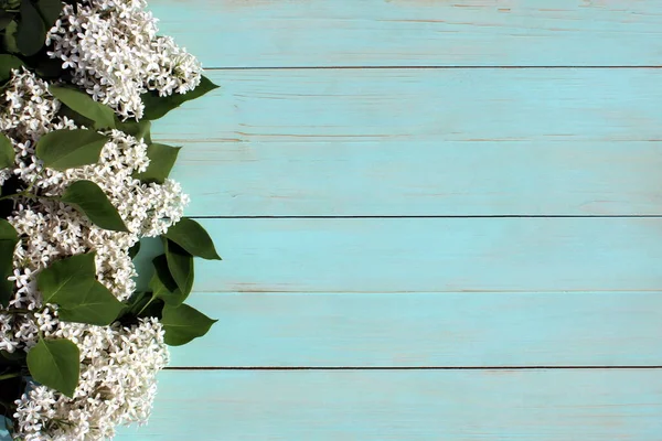 Flores Blancas Lila Encuentra Sobre Fondo Madera Turquesa Con Lugar — Foto de Stock