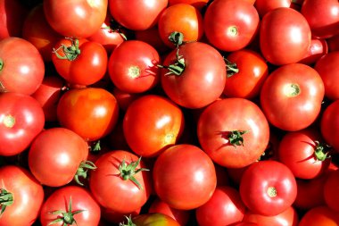 Olgun kırmızı domatesler bir yığın halinde uzanıyor ve güneş ışığı üzerlerine düşüyor..