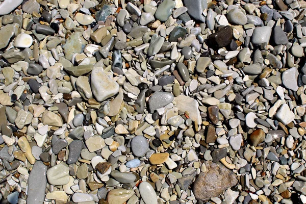 Textura Pequeñas Piedras Que Encuentran Playa Guijarro Orilla Del Mar — Foto de Stock