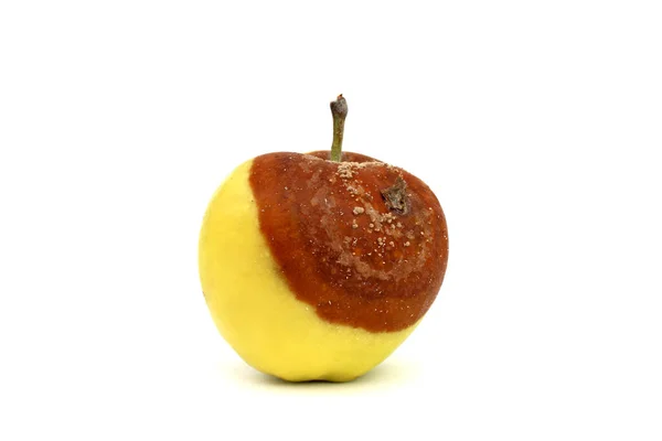 Pomme Est Moitié Pourrie Moisie — Photo