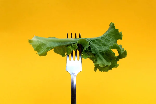 Una Hoja Lechuga Verde Planta Sobre Tenedor Sobre Fondo Amarillo —  Fotos de Stock