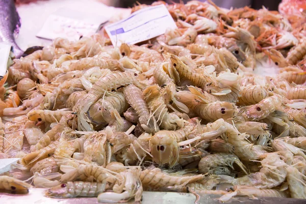 Camarones — Foto de Stock