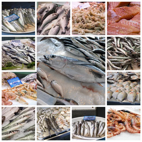 Colagem do mercado de peixe — Fotografia de Stock