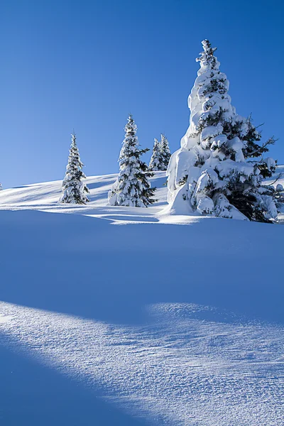 Snovy mountain — Stock Photo, Image