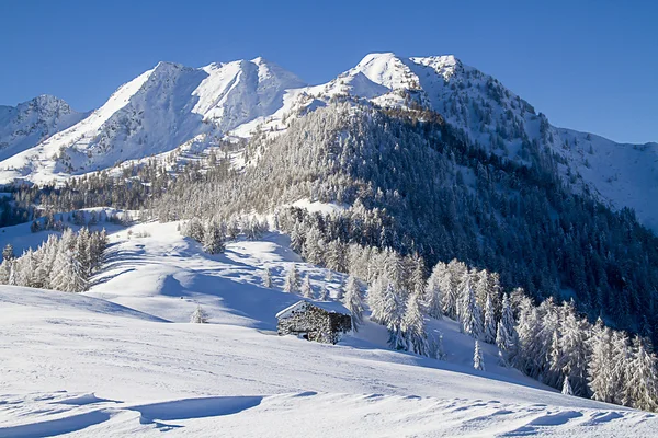 Alpine scenery Stock Image