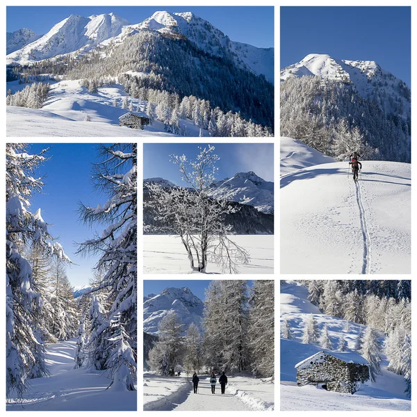 Winter landscape collage — Stock Photo, Image