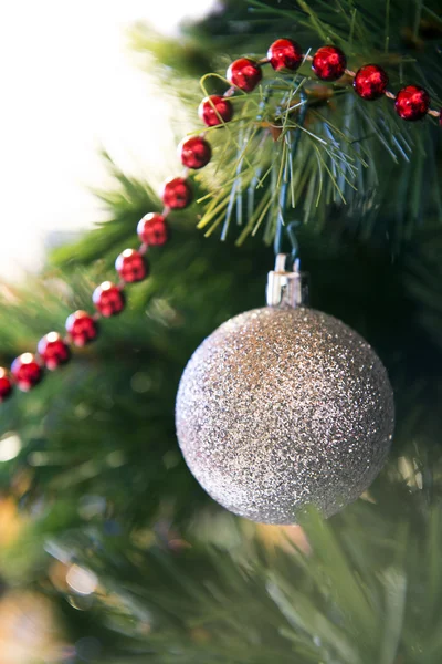 Christmas ball on a branch tree — Stock Photo, Image