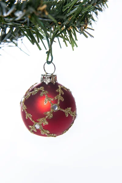 Boule de verre rouge sur branche d'arbre de Noël — Photo