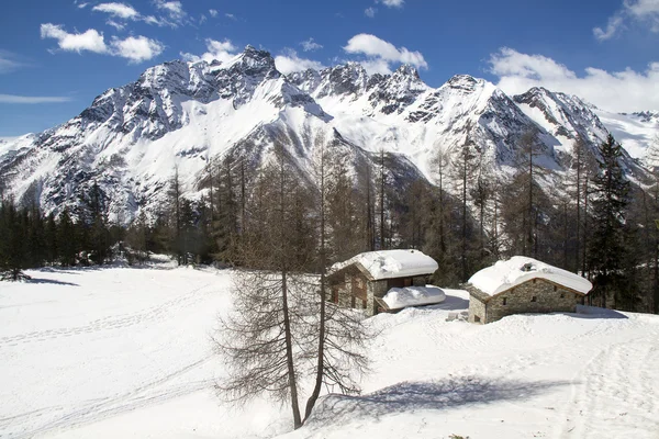 Beautiful Alpine landscape — Stock Photo, Image