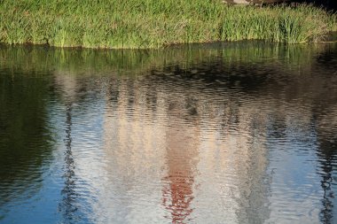 Gün batımında nehir kıyısında yeşil sazlıklar, gün batımında sakin, nehir