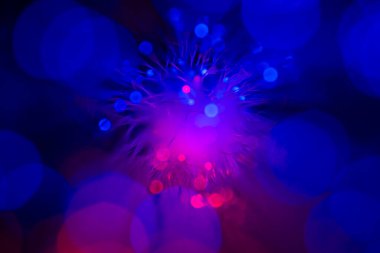 Fiber optik ağ kablosu bokeh renkli ışığı bulanıklaştırdı