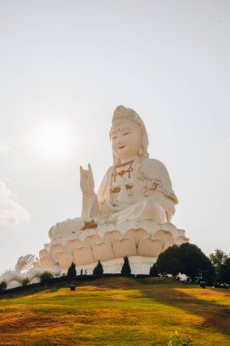 Chiang Rai 'deki Wat Huay Pla Kang tapınağı. Muazzam bir beyaz Guanyin heykeli nilüfer kaidesi üzerinde huzur içinde oturur, ön planda süslemeli bir ejderha heykeli, yumuşak gün ışığı altında alçak bir açıdan fotoğraflanır..
