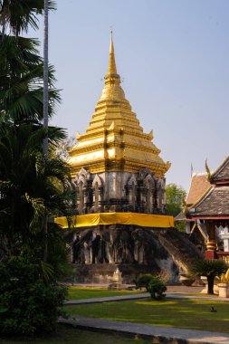 Wat Chedi Luang, Tayland, Altın Budist, taştan bir üsten yükselen heykel fil oymalarıyla süslenmiş, palmiye ağaçları ve geleneksel Tayland binalarıyla dolu sakin bir tapınak bahçesine kurulmuş.