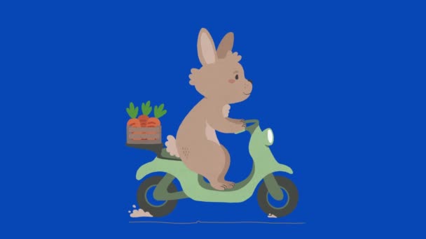 Bunny Riding Motorbike Carrying Crate Full Carrots Cute Cartoon Rabbit — Stock Video