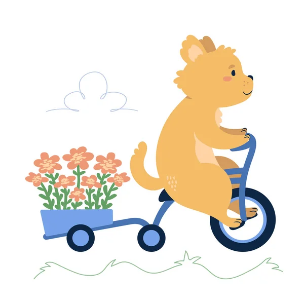 Pies na rowerze trzykołowym niosący kwiaty w przyczepie rowerowej. Cute zwierząt charakter wektor ilustracji. Grafika Wektorowa