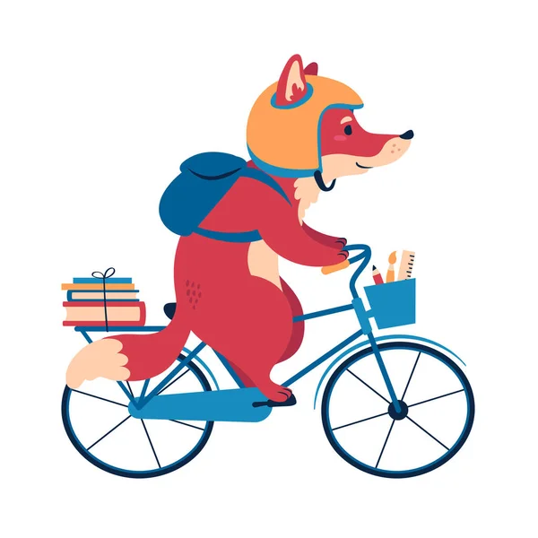 Czerwony lis na rowerze. płaski styl, ilustracja wektora. — Wektor stockowy
