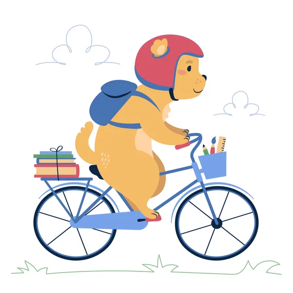 Ein brauner Hund auf einem Fahrrad. flacher Stil, Vektorillustration. Vektorgrafiken