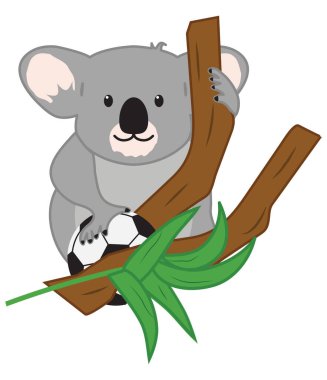 Süper Sevimli Mutlu Gri Koala Okaliptüs Ağacı 'nda Siyah ve Beyaz Futbol Topuyla Kırpma Yolu' yla