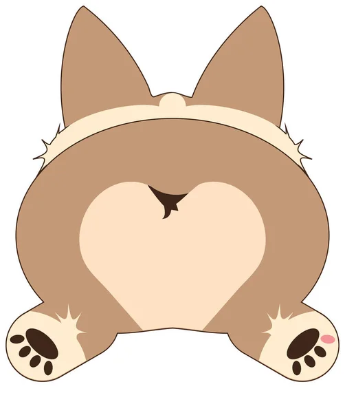 Super Cute Corgi Sploot Puppy Butt Illustration Isolated White Clipping — Stock Photo, Image