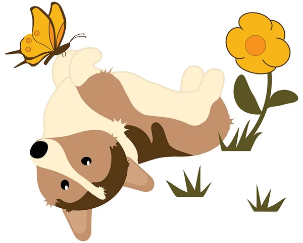 Corgi Puppy Playing Flower Garden Butterfly Isolated White Background Clipping — 스톡 사진