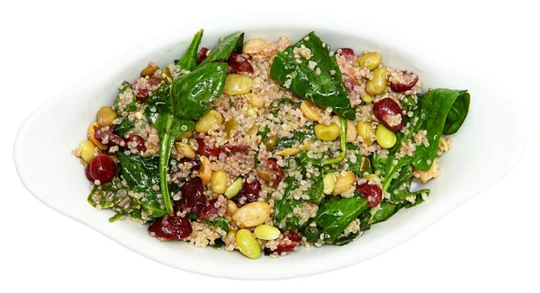 Quinoa Spinach Cranberry Salad Isolated — Stock Photo, Image