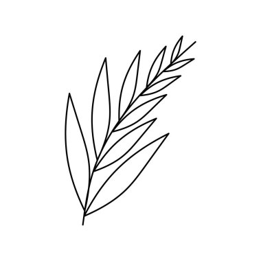Logo, düğün, hikâye ve posterler için kullanılan vektör soyut yaprak çizimi. Asgari modern yaprak sanatı. Doodle Leaves doğrusal sanat. Botanik vektör logosu izi.