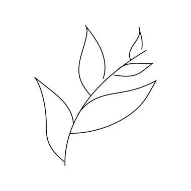 Logo, düğün, hikâye ve posterler için kullanılan vektör soyut yaprak çizimi. Asgari modern yaprak sanatı. Doodle Leaves doğrusal sanat. Botanik vektör logosu izi.