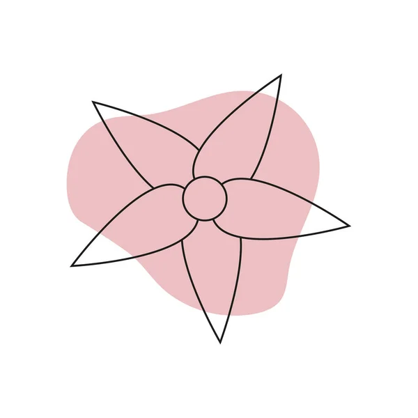100,000 Flower of the venus Vector Images