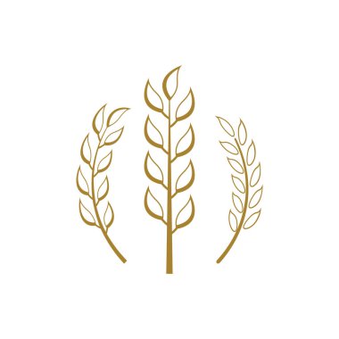 Buğday simgesi tasarımı şablon izole edilmiş illüstrasyon