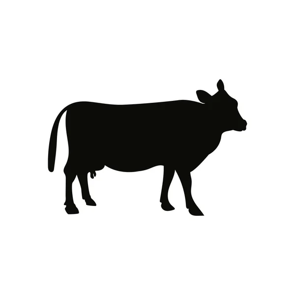 Cow Icon Design Template Vector Isolated Illustration — Stock Vector