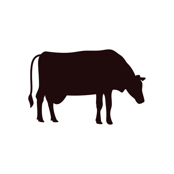 Kuh-Symbol-Design-Vorlage Vektor isolierte Illustration — Stockvektor
