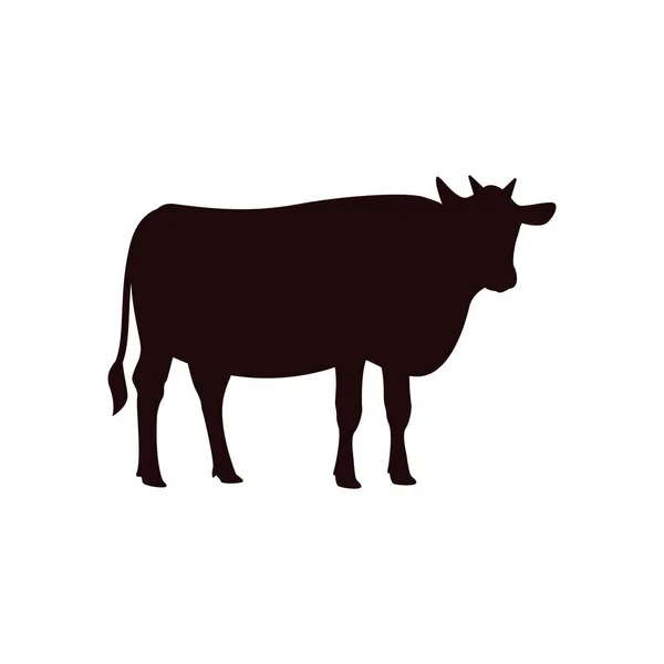 Cow icon design template vector isolated illustration — Stock Vector