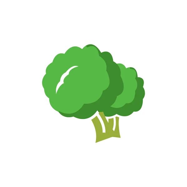 Brócoli Icono Plantilla Vector Aislado — Vector de stock