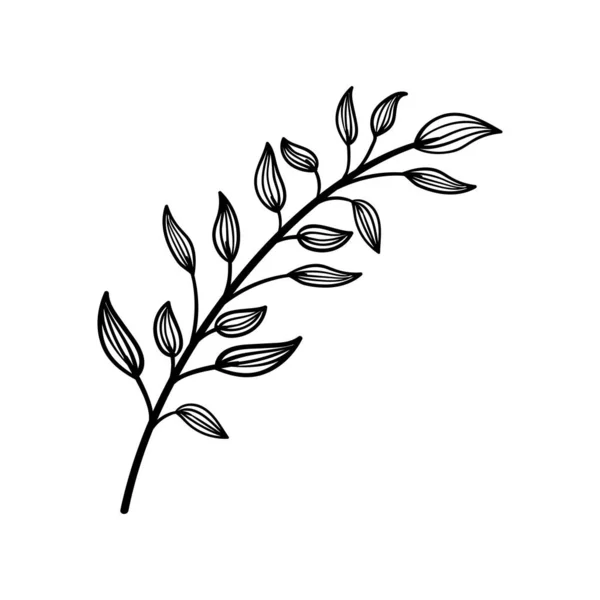 Leaf Icon Design Template Vector Illustration — Stock Vector