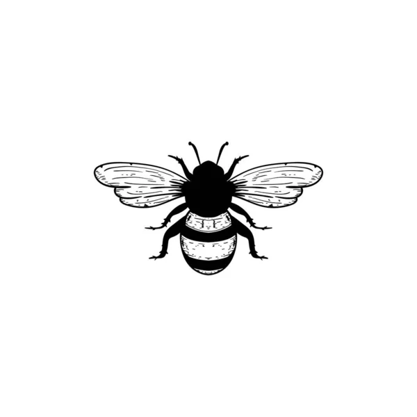 Icono Abeja Plantilla Diseño Vector Ilustración Aislada — Vector de stock