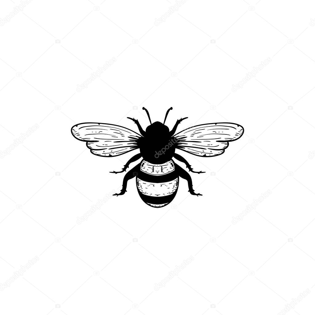 Bee icon design template vector isolated illustration