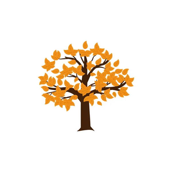 Иллюстрация Вектора Шаблона Иконки Осеннего Дерева — стоковый вектор