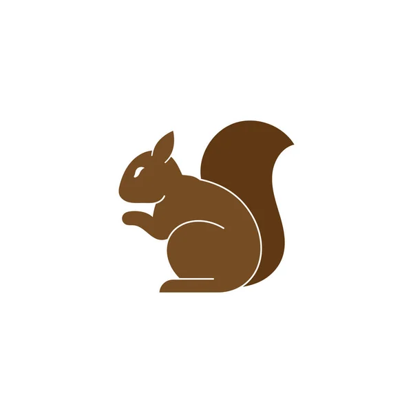 Eichhörnchen Symbol Design Vorlage Vektor Isolierte Illustration — Stockvektor