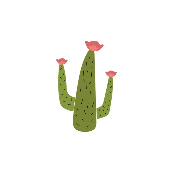 Cactus Icono Diseño Plantilla Vector Aislado — Archivo Imágenes Vectoriales