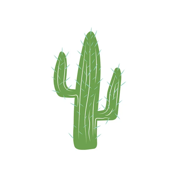 Cactus Icono Diseño Plantilla Vector Aislado — Vector de stock