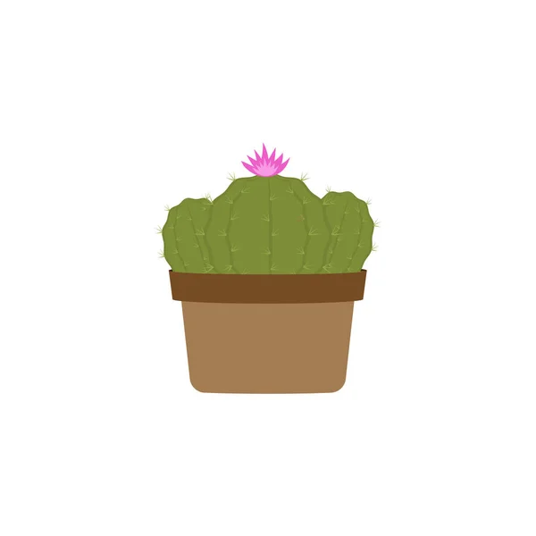 Cactus Icono Diseño Plantilla Vector Aislado — Archivo Imágenes Vectoriales