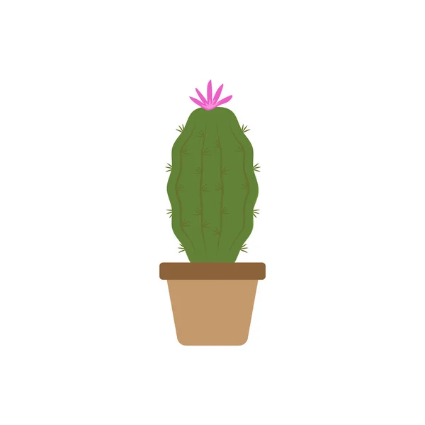 Cactus Icono Diseño Plantilla Vector Aislado — Archivo Imágenes Vectoriales