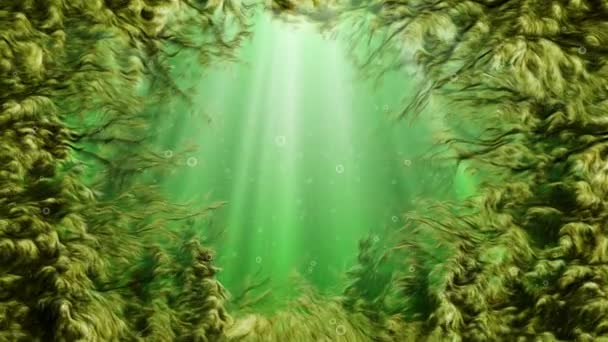 绿水与移动的海藻 — 图库视频影像