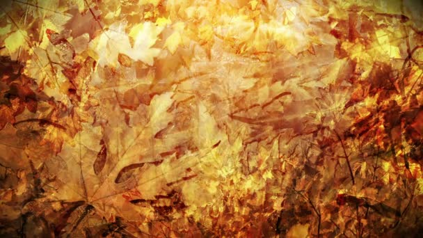 Осенний лиственный фон — стоковое видео