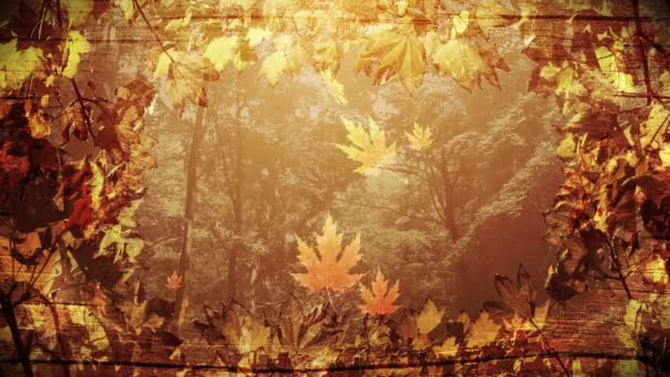 Herbst Laub Hintergrund — Stockvideo