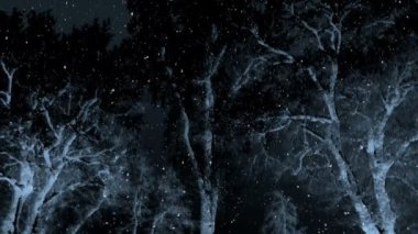 Karanlık Kış Gecesi Sahnesi 