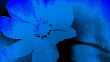 Soyut Çiçek Sanatı Arkaplanı