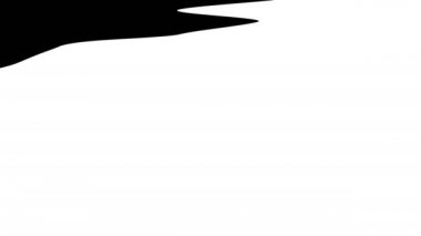 Beyaz Arkaplanda Bilgisayar Siyah Mürekkep Geçişi